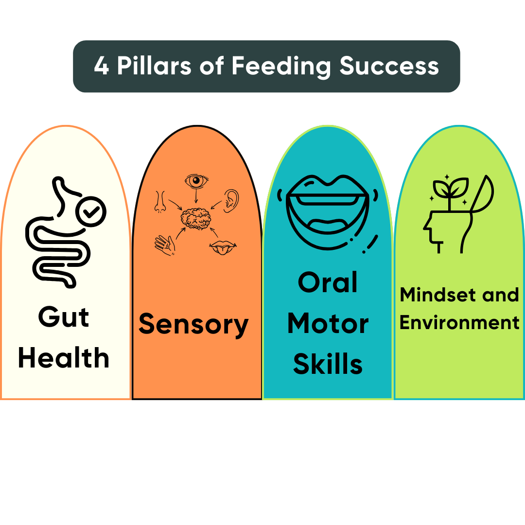 4 pillars of feeding success
